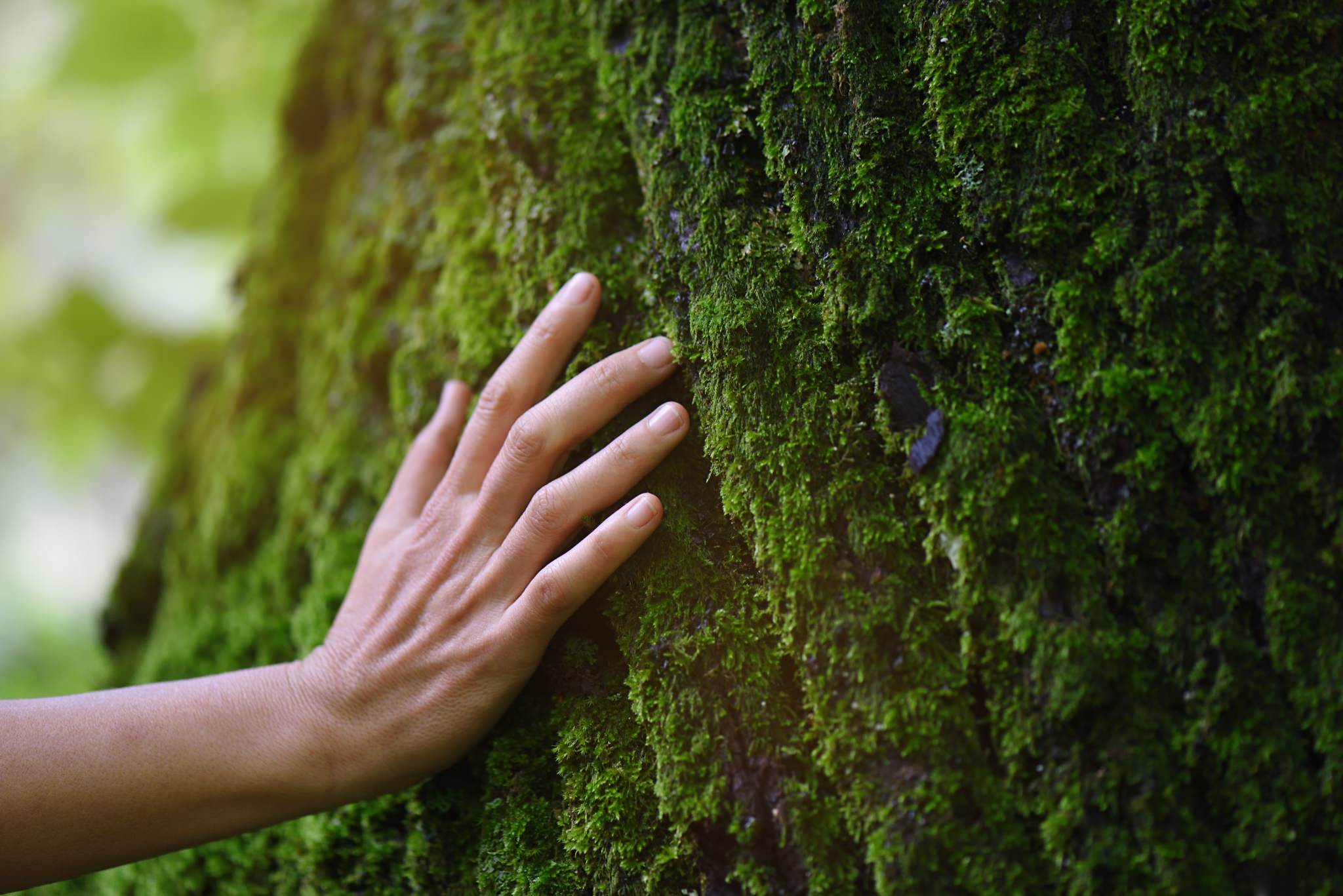 Want Sustainable Measuring Equipment? Ellab’s Products are Becoming More Sustainable!