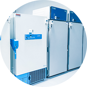 Congelatori e Frigoriferi
